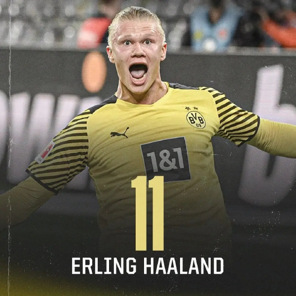 对位火箭的 对位火箭的